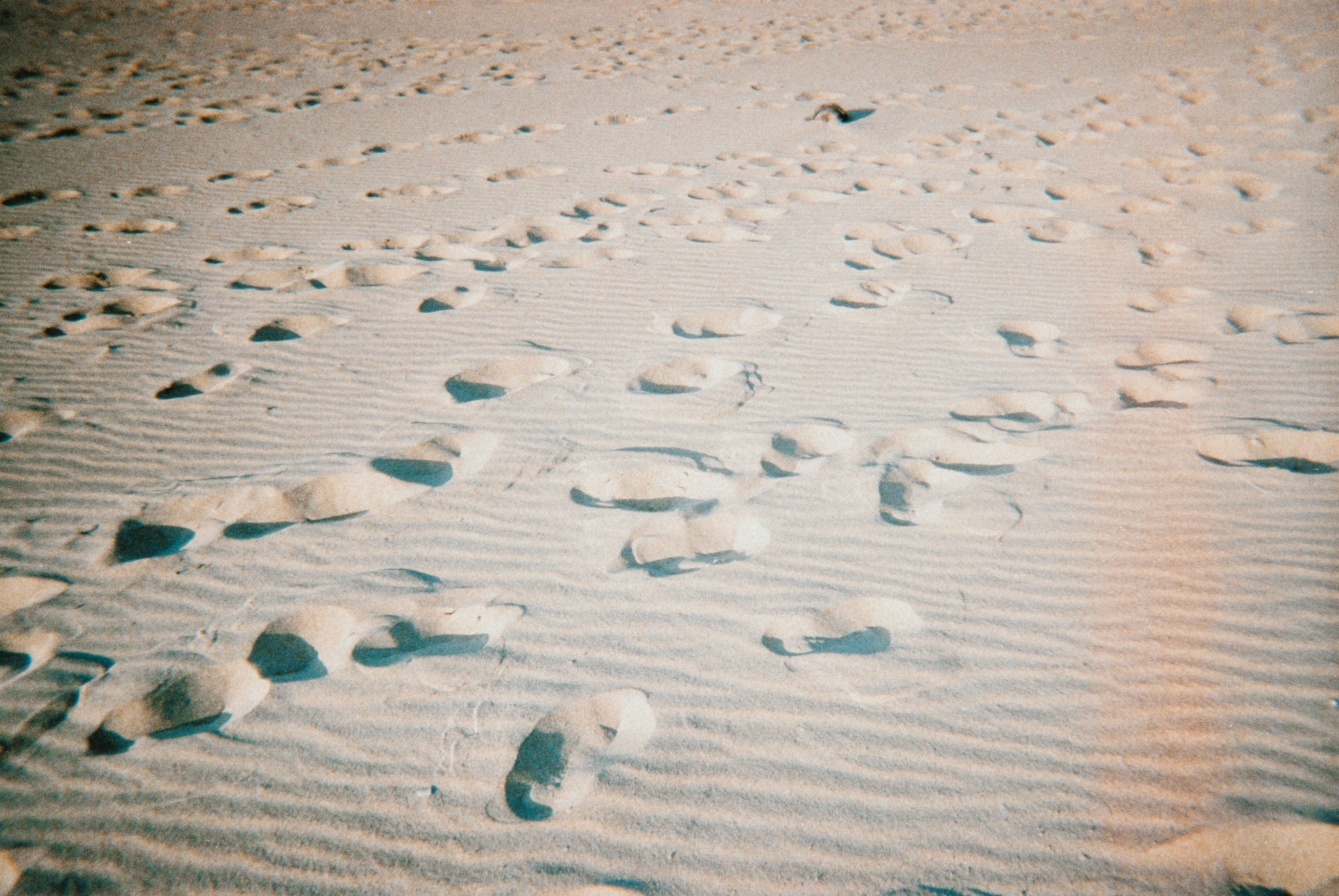 brown sand surface with foot steps